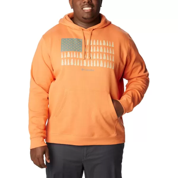 Columbia Men's Trek Graphic Hoodie