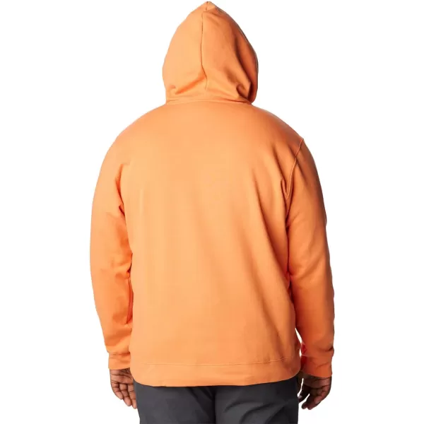 Columbia Men's Trek Graphic Hoodie