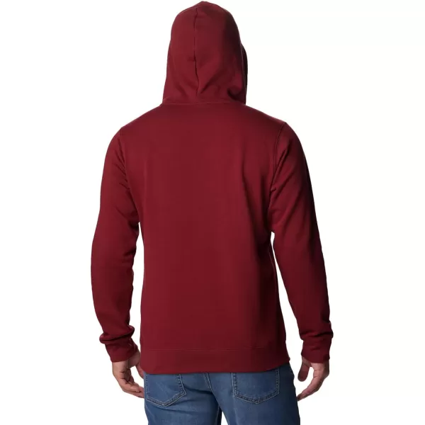 Columbia Men's Trek Graphic Hoodie