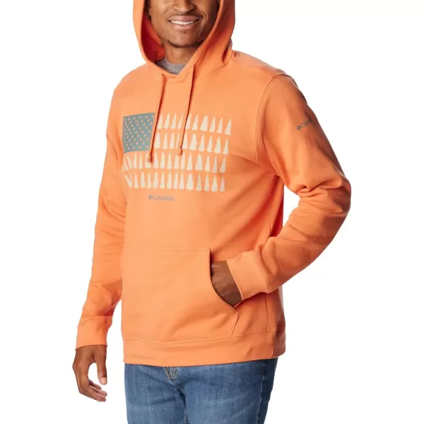 Columbia Men's Trek Graphic Hoodie