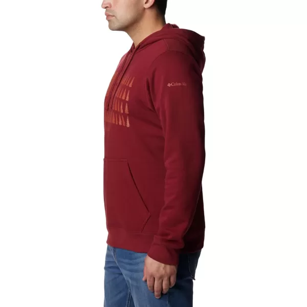 Columbia Men's Trek Graphic Hoodie