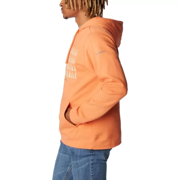 Columbia Men's Trek Graphic Hoodie