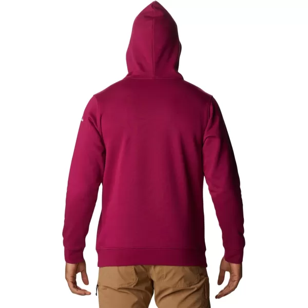 Columbia Men's Trek Hoodie