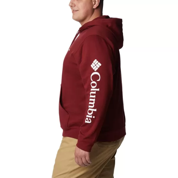 Columbia Men's Trek Hoodie