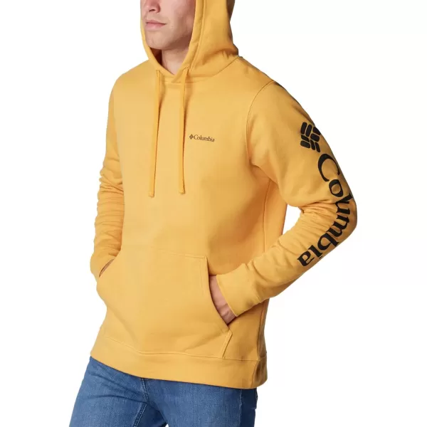 Columbia Men's Trek Hoodie
