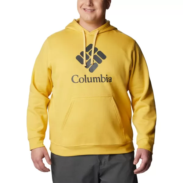 Columbia Men's Trek Hoodie