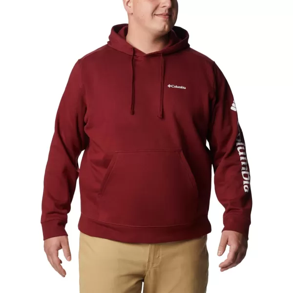 Columbia Men's Trek Hoodie