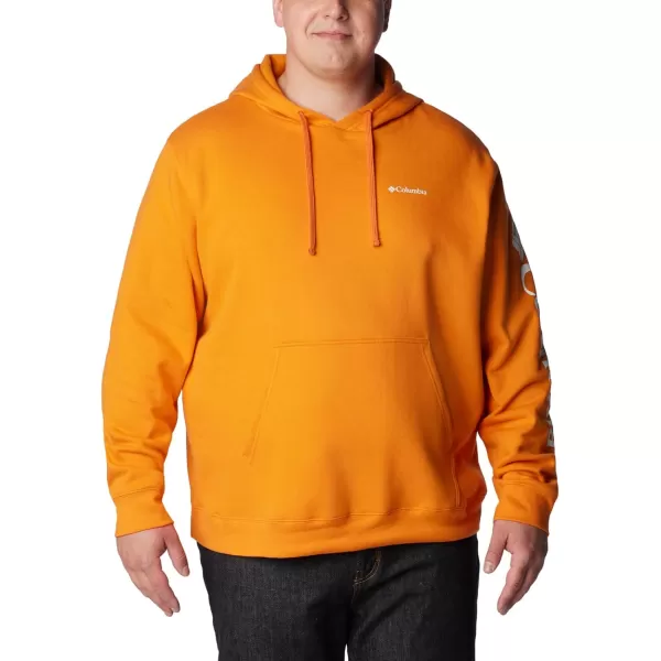 Columbia Men's Trek Hoodie