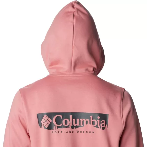 Columbia Men's Trek Hoodie