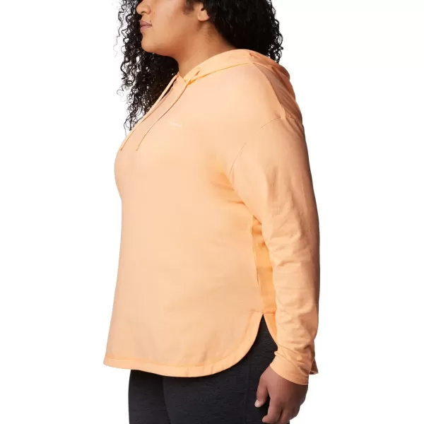 Columbia Women's Sun Trek Hooded Pullover