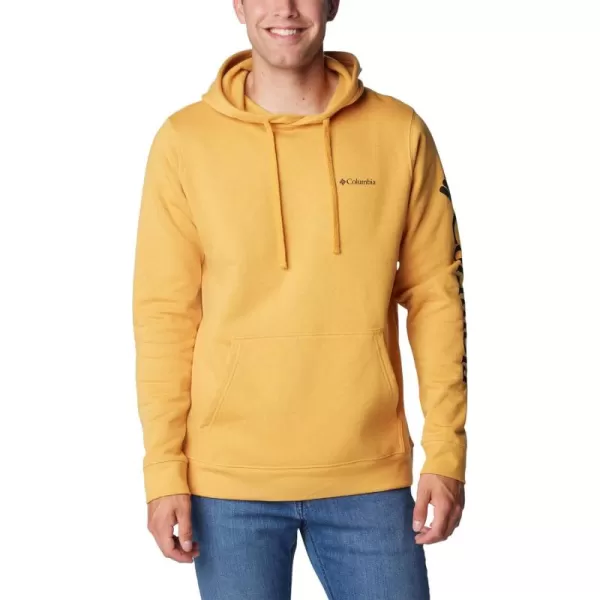 Columbia Men's Trek Hoodie