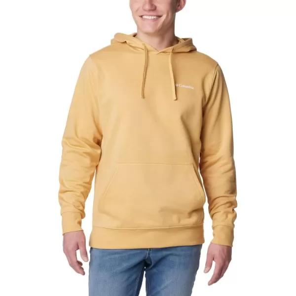 Columbia Men's Trek Hoodie