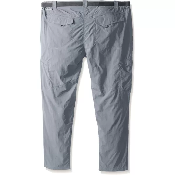 Columbia Men's Silver Ridge Cargo Pant