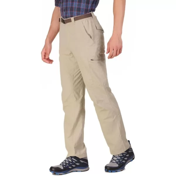 Columbia Men's Silver Ridge Cargo Pant