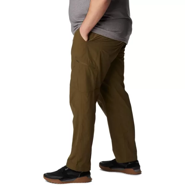 Columbia Men's Silver Ridge Cargo Pant