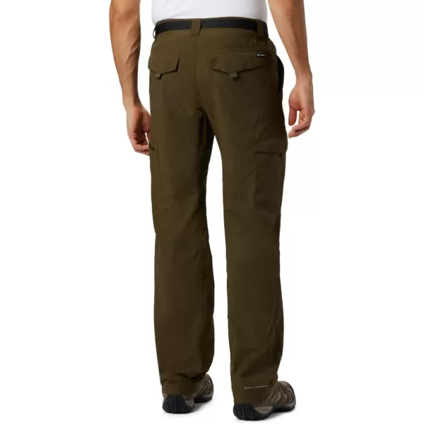 Columbia Men's Silver Ridge Cargo Pant