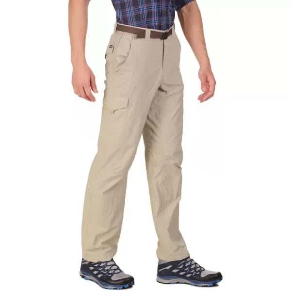 Columbia Men's Silver Ridge Cargo Pant