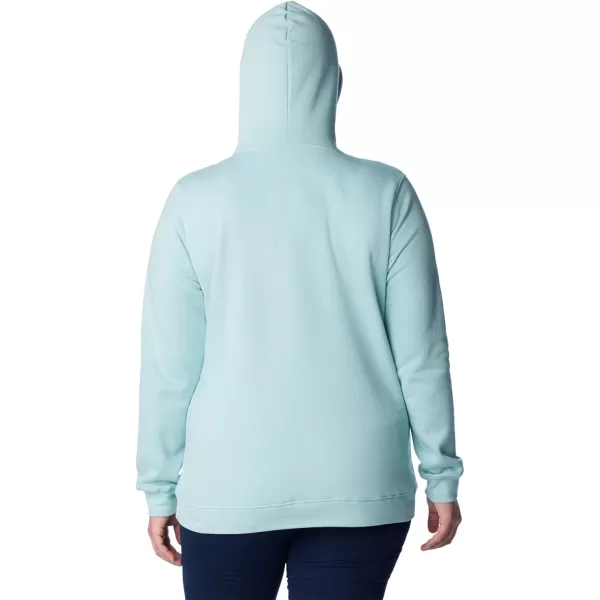 Columbia Women's Trek Graphic Hoodie