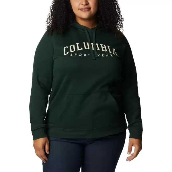 Columbia Women's Trek Graphic Hoodie