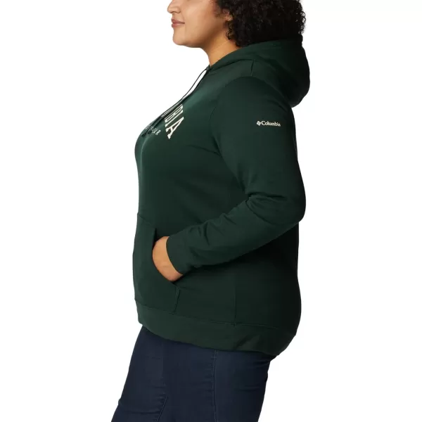 Columbia Women's Trek Graphic Hoodie
