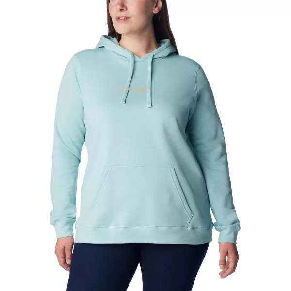Columbia Women's Trek Graphic Hoodie