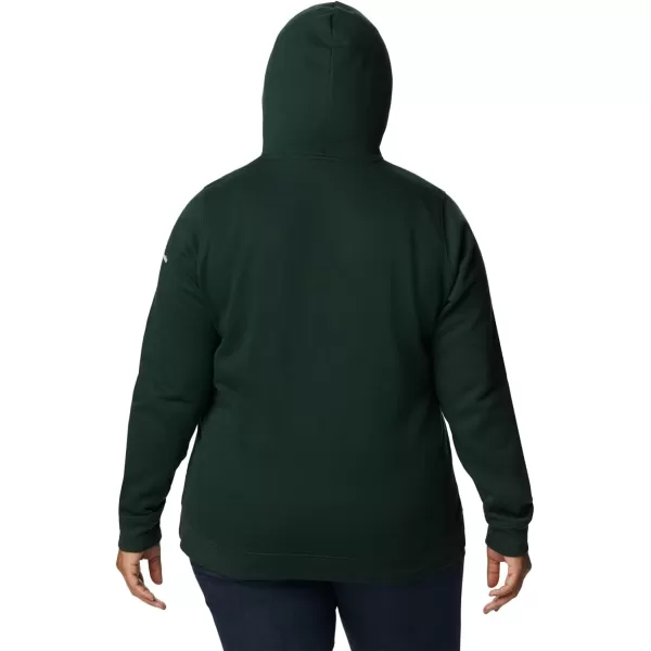 Columbia Women's Trek Graphic Hoodie