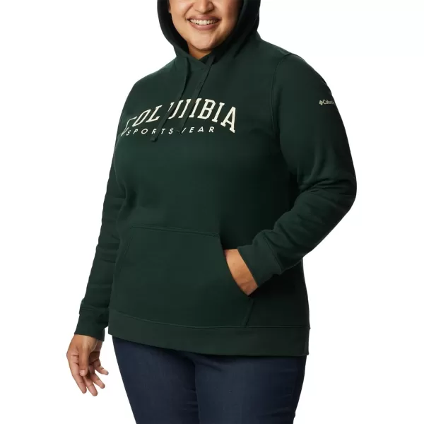 Columbia Women's Trek Graphic Hoodie