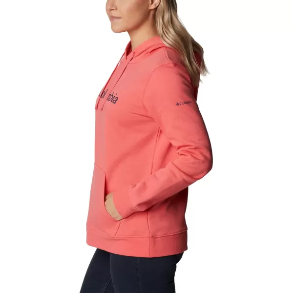Columbia Women's Trek Graphic Hoodie