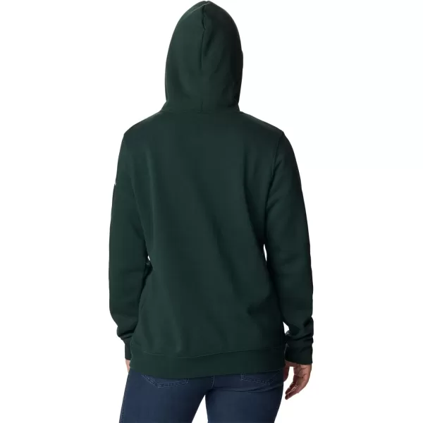 Columbia Women's Trek Graphic Hoodie