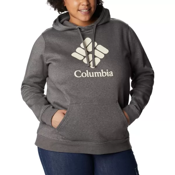 Columbia Women's Trek Graphic Hoodie