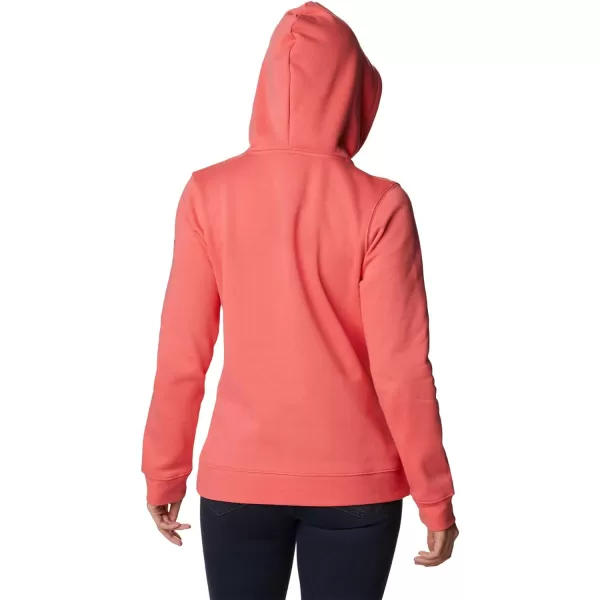 Columbia Women's Trek Graphic Hoodie