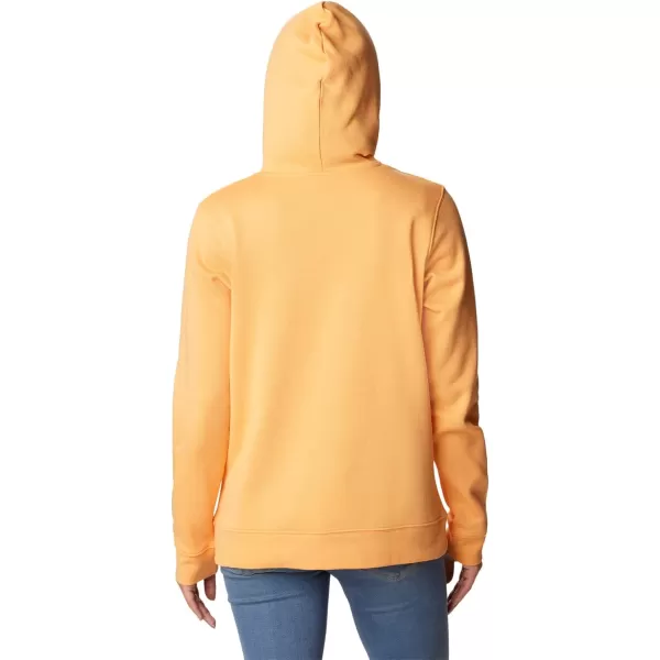 Columbia Women's Trek Graphic Hoodie