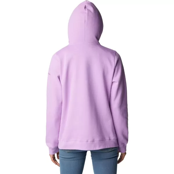 Columbia Women's Trek Graphic Hoodie