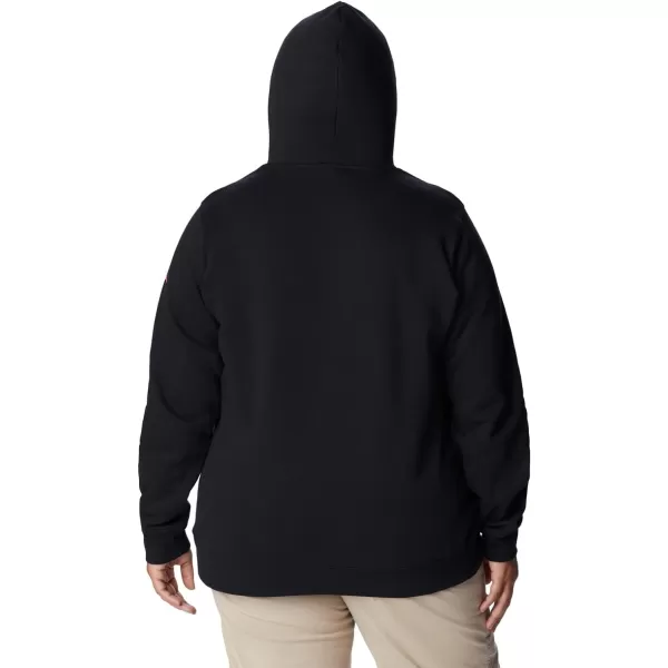 Columbia Women's Trek Graphic Hoodie