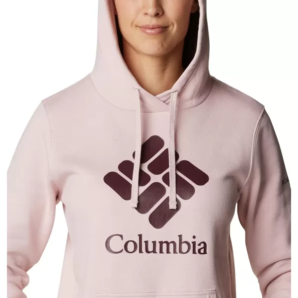 Columbia Women's Trek Graphic Hoodie