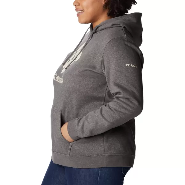 Columbia Women's Trek Graphic Hoodie