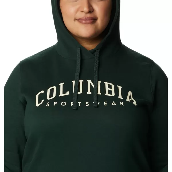 Columbia Women's Trek Graphic Hoodie