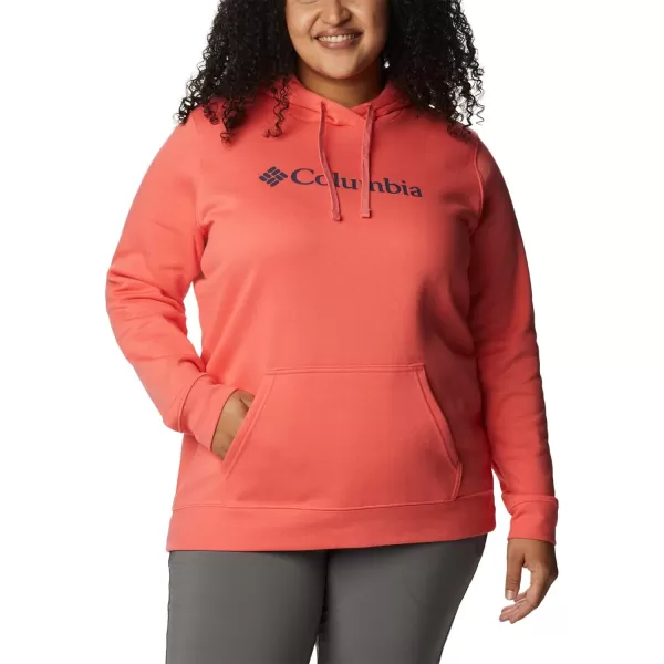 Columbia Women's Trek Graphic Hoodie