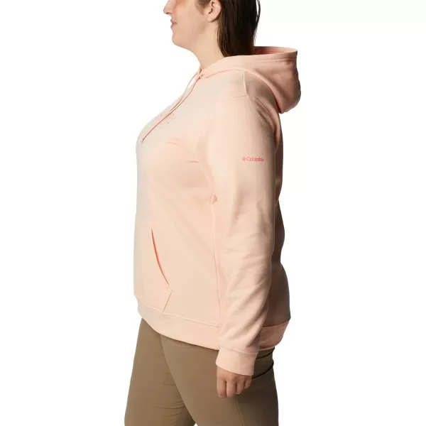 Columbia Women's Trek Graphic Hoodie