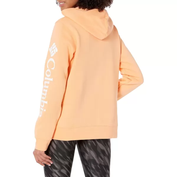 Columbia Women's Trek Graphic Hoodie