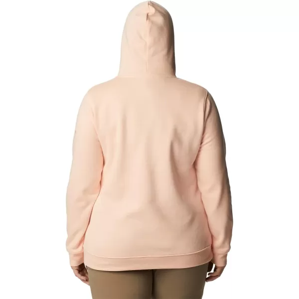 Columbia Women's Trek Graphic Hoodie
