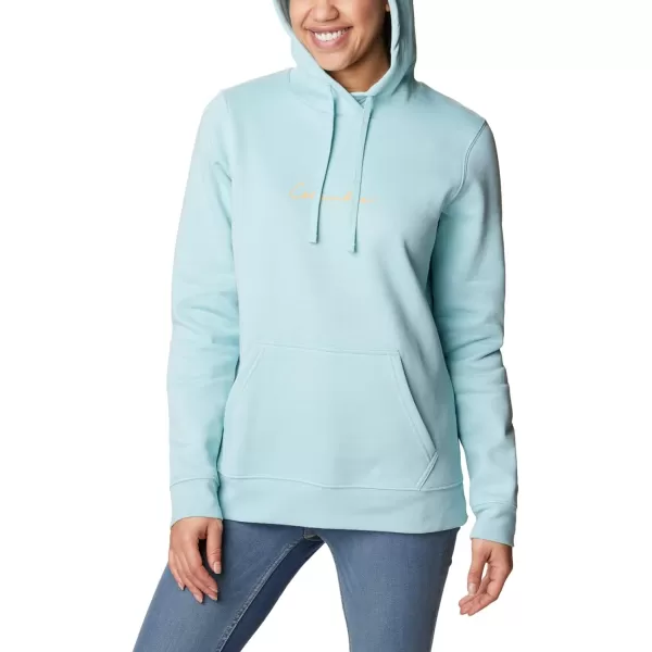 Columbia Women's Trek Graphic Hoodie