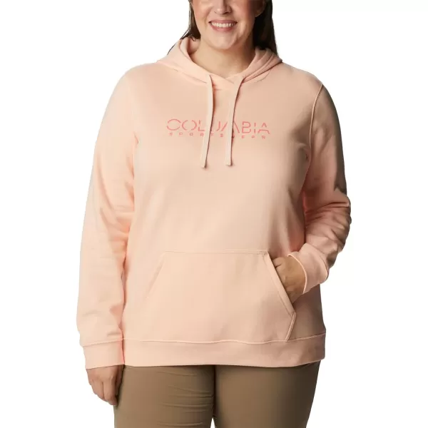 Columbia Women's Trek Graphic Hoodie