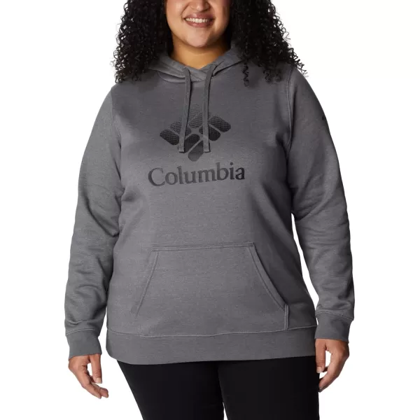 Columbia Women's Trek Graphic Hoodie
