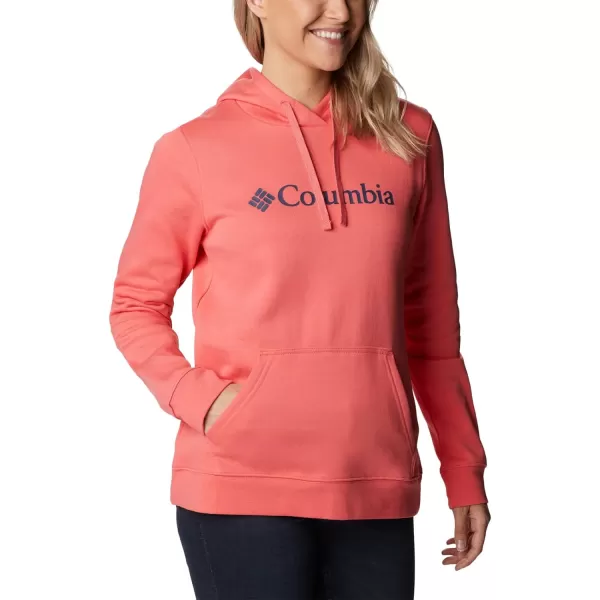 Columbia Women's Trek Graphic Hoodie
