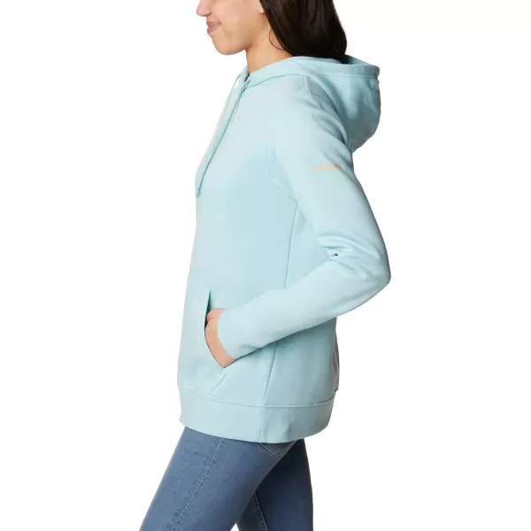 Columbia Women's Trek Graphic Hoodie