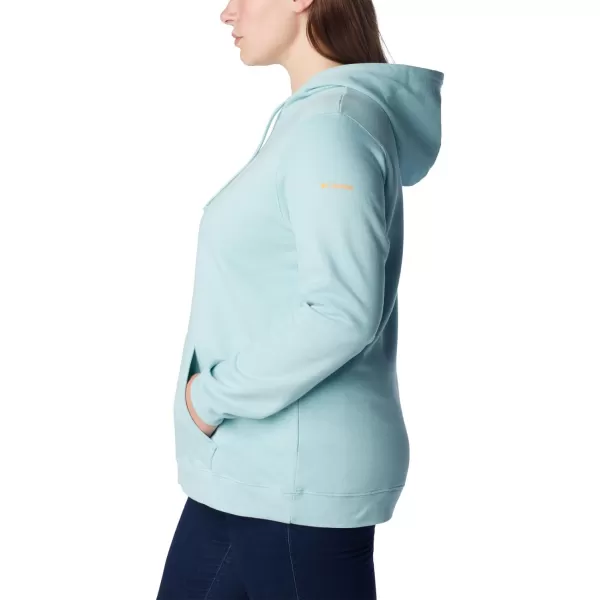 Columbia Women's Trek Graphic Hoodie