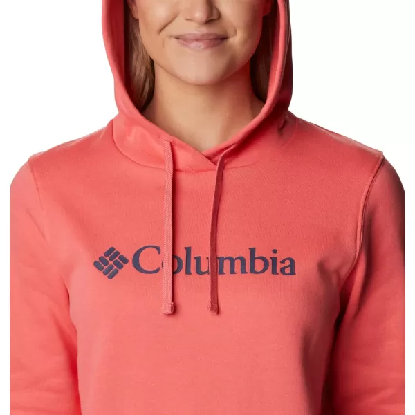 Columbia Women's Trek Graphic Hoodie