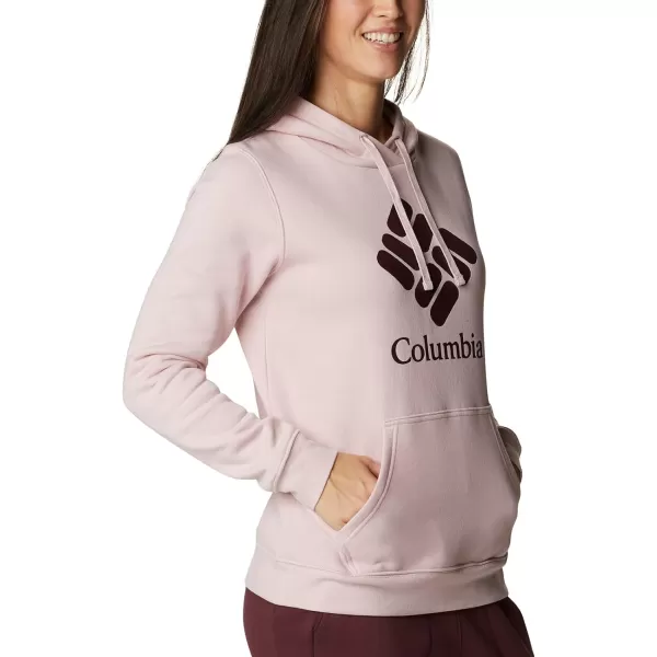 Columbia Women's Trek Graphic Hoodie