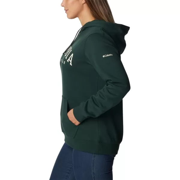 Columbia Women's Trek Graphic Hoodie